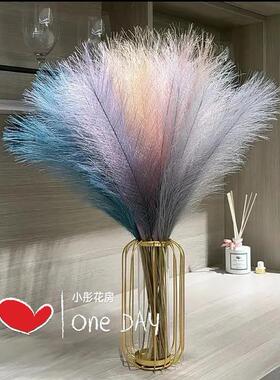 202655cm芦苇不掉毛一体抽丝北欧羽毛草干花家居客厅装饰马年