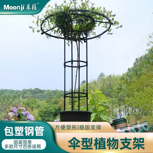 园艺伞形组装花支架爬藤架户外月季铁线莲蔷薇绿植攀爬架支伸缩杆