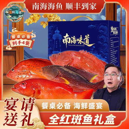 全红斑鱼速冻锁鲜东星斑燕尾东草莓斑海鲜商务高端礼盒顺丰包邮