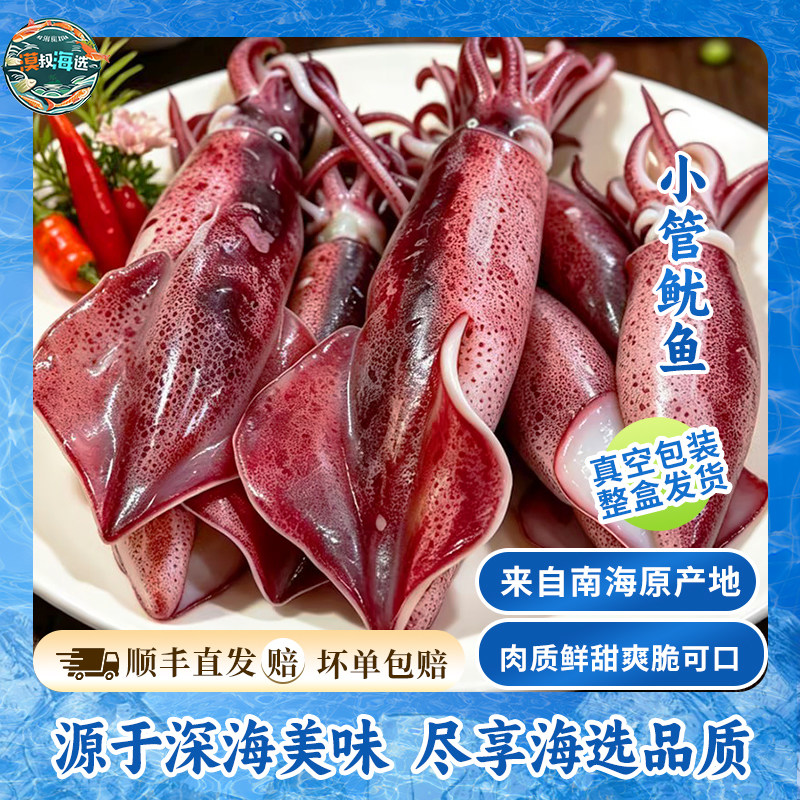 南海速冻锁鲜鱿鱼美食烧烤火锅海兔子小管鱿鱼