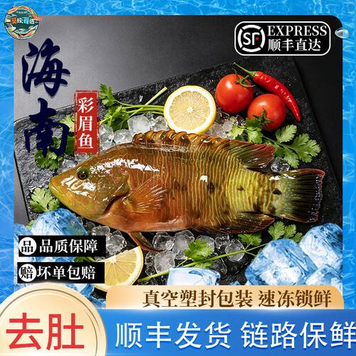 西沙群岛三沙渔民海捕鲜速冻锁鲜彩眉鱼颜色混发清蒸香煎