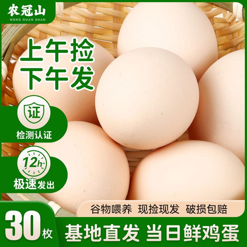 农冠山鸡蛋新鲜30枚正宗农家山林散养五谷杂粮农村大个土鸡蛋营养,水产肉类/新鲜蔬果/熟食,鸡蛋,淘宝优惠券,粉丝福利购,淘宝优惠卷