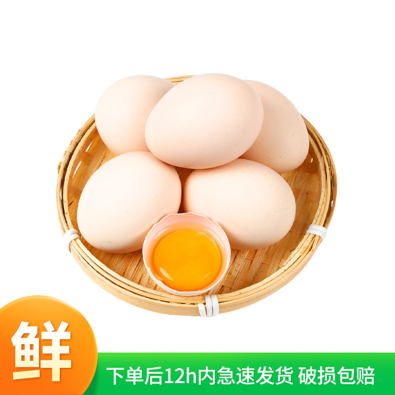 农冠山鸡蛋新鲜40g*20枚谷物鲜鸡蛋农家散养土鸡蛋新鲜现捡现发