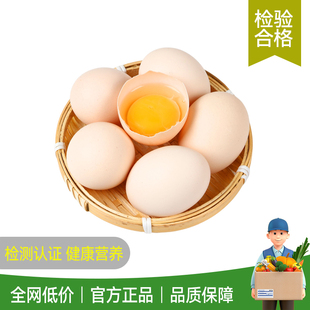 农冠山鸡蛋新鲜40g*10枚五谷鲜鸡蛋农村土鸡蛋正宗农家散养笨鸡蛋