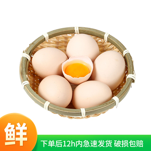 农冠山新鲜鸡蛋40g*50枚农家散养鸡蛋五谷杂粮喂养笨鸡蛋月子蛋