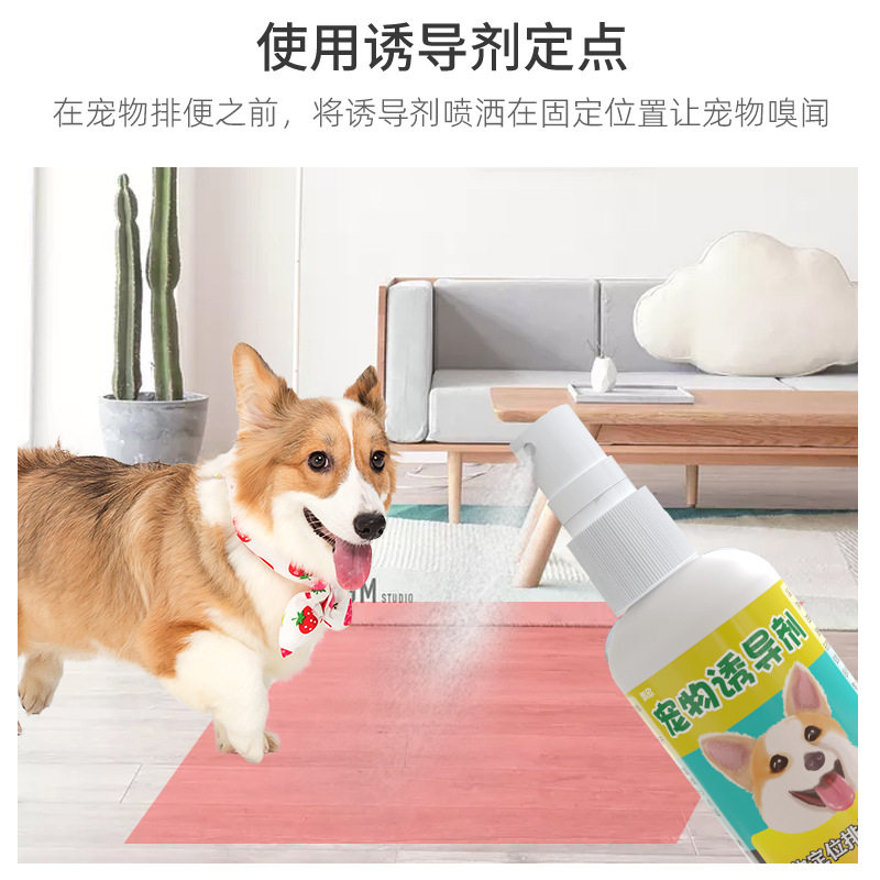 狗狗厕所诱导剂拍一发四