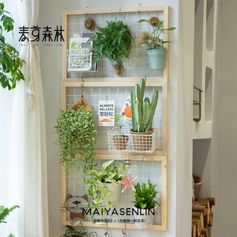 阳台网格花架爬藤支架置物架实木悬挂壁挂式幼儿园植物绿植挂墙架图片