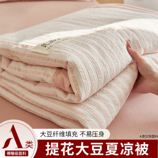 大豆纤维夏凉被纯棉全棉可机水洗四件套单双人夏季 空调被芯薄被子