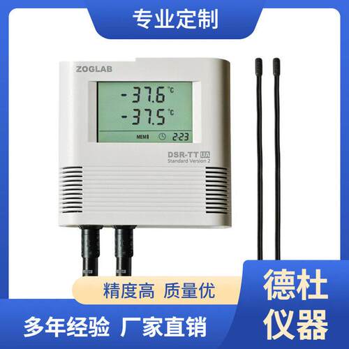 供应DSR-TT双温度记录仪两通道外置探头
