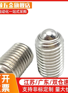 不锈钢球头柱塞 BSZF BSX 3 4 5 6 8 10 12 16