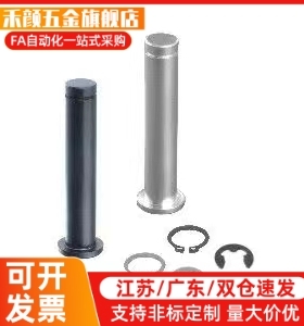 铰链销SHCCG SHCDG SHCCGH3 4 5 6 8 10-10 15 20 25 30CCG CCGH