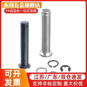 304平头带槽销轴双头卡簧定位圆柱销HCDG HCCG PHCCG SHCDG