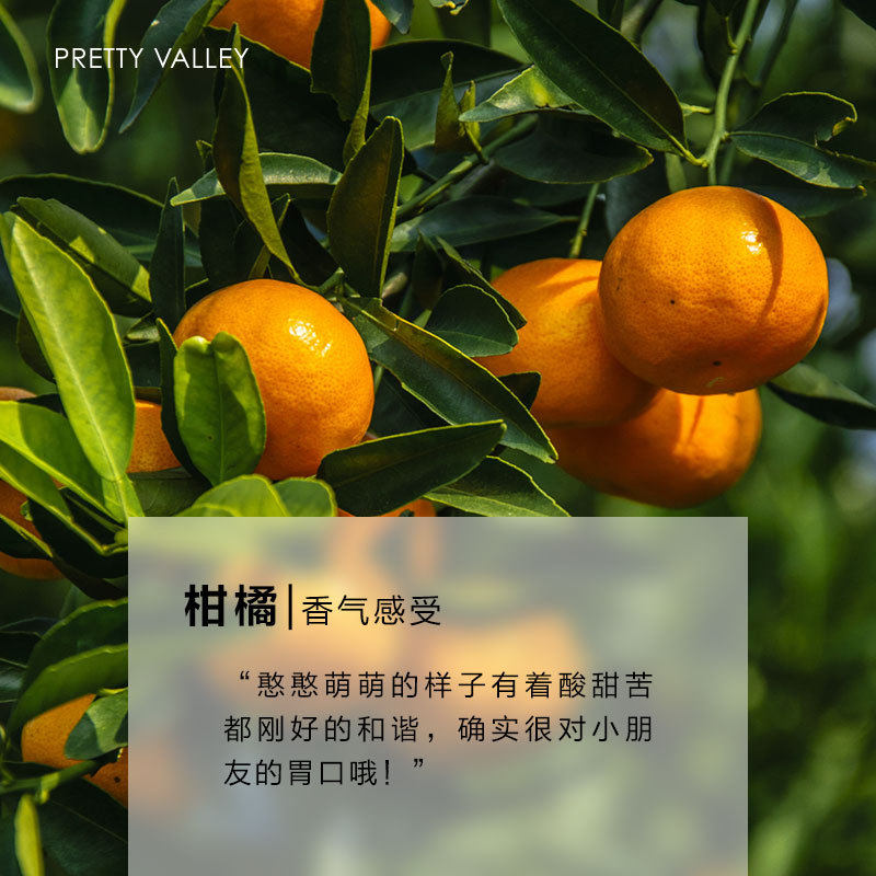 柑橘精油舒缓面部护肤身体按摩单