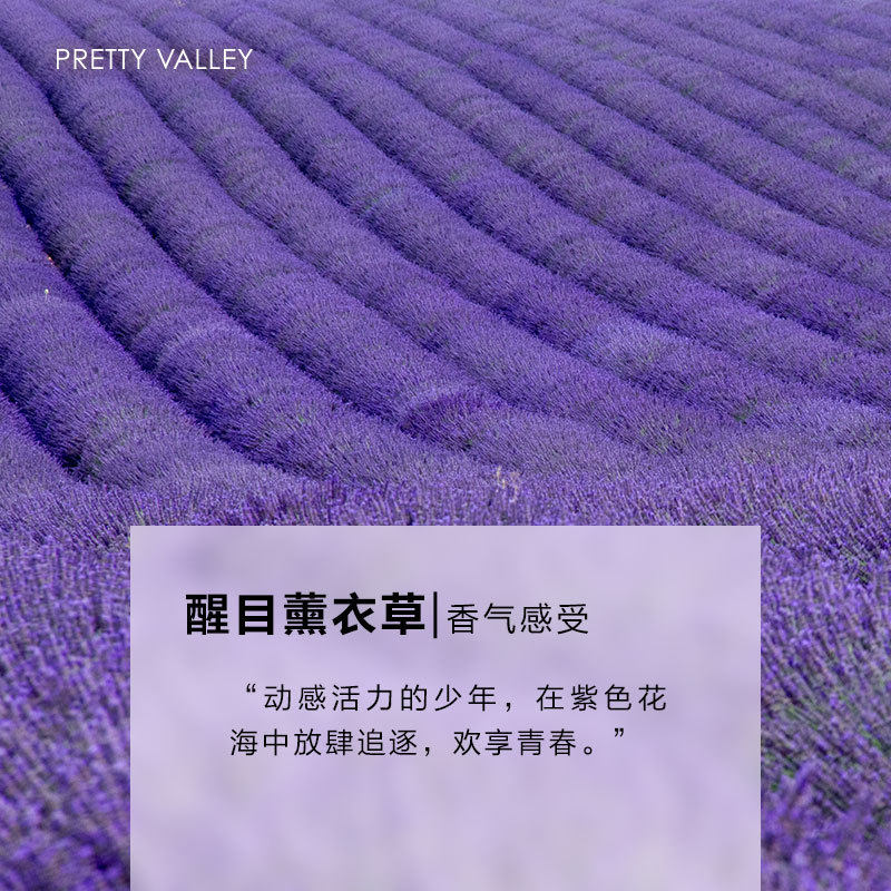 醒目薰衣草精油单方精油舒缓睡眠