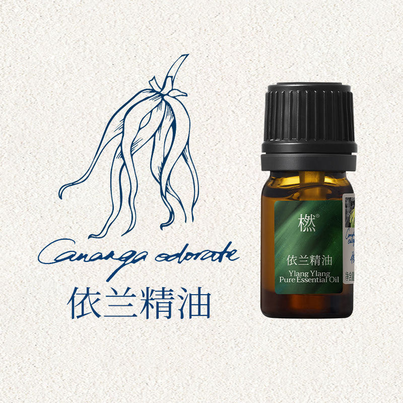 依兰精油单方5ml植物家用香薰车载香氛室内原料产地马达加斯加官