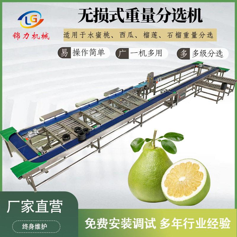 无损重量分选精准分选水蜜桃榴莲柚子智能分选重量分拣