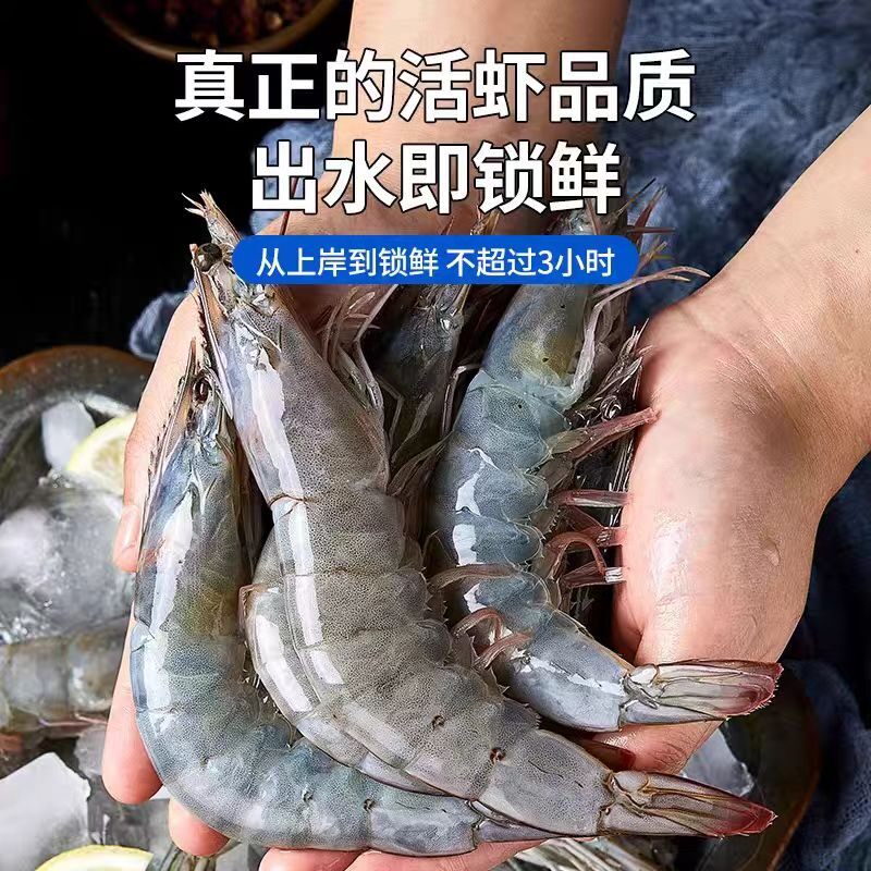 年货节厄瓜多尔白虾盐冻南美3040进口海鲜水产海虾大虾1500G