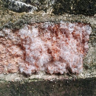 正宗硝石制冰墙硝石矿古法制冰降温不用电宿舍制冰神器中药用硝石