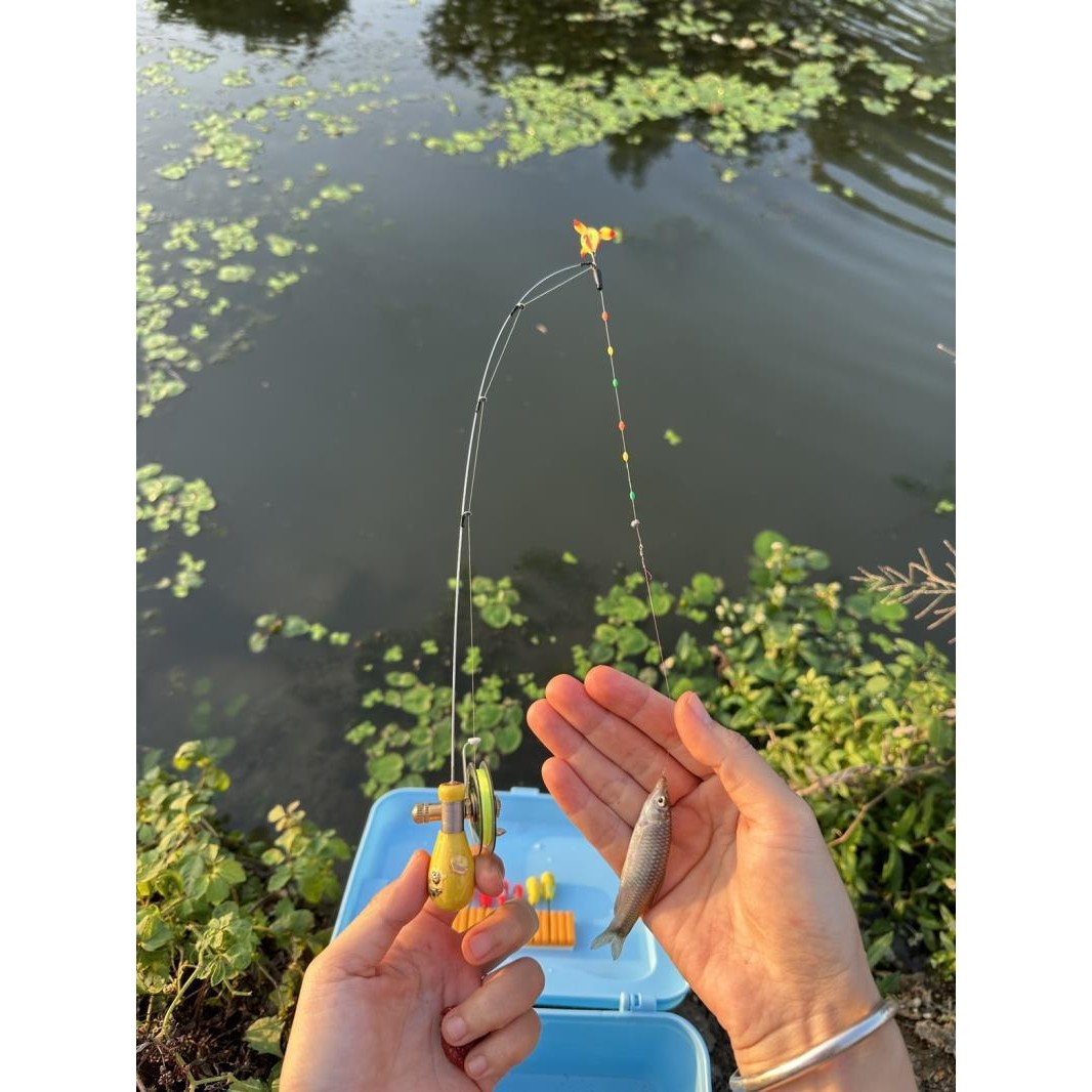 网红小物钓竿超短迷你袖珍可携式鰟鮍白条鱼竿带轮冰钓竿虾竿八工