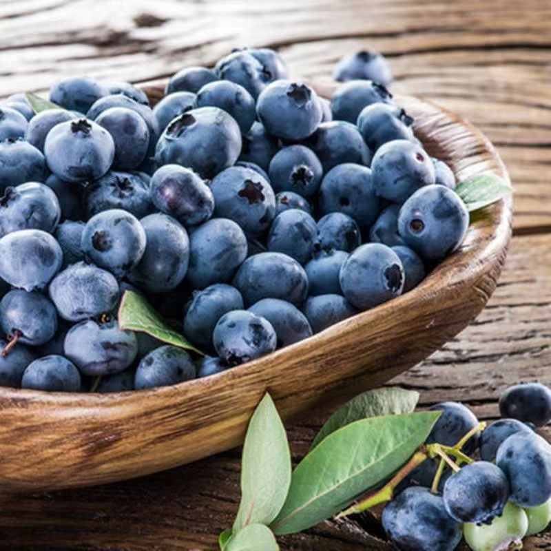 王大水专属云南高山花香脆甜新鲜蓝莓L25蓝莓