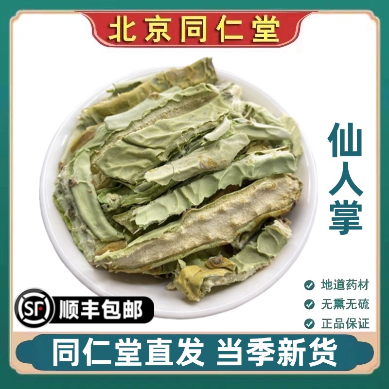 同仁堂正品仙人掌中药材特级外敷药用仙人掌新鲜采摘仙人掌原材料