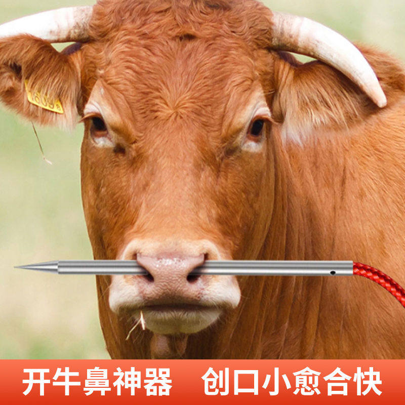 牛鼻穿孔针穿孔器牛鼻环不锈钢养牛引针穿牛鼻子针穿引针穿牛鼻器,畜牧/养殖物资,畜牧/养殖器械,淘宝优惠券,粉丝福利购,淘宝优惠卷