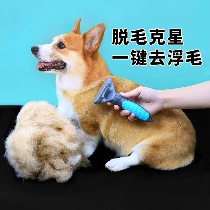 宠物狗狗梳子专用梳毛神器猫刷子柴犬柯基小型犬去浮毛刷用品,宠物/宠物食品及用品,猫狗梳子/排梳,淘宝优惠券,粉丝福利购,淘宝优惠卷
