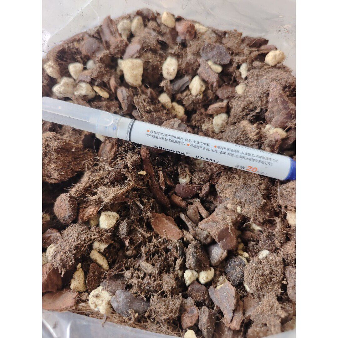 蝴蝶兰懒人2号不拆水苔（8升）专用营养植料易生根好浇水