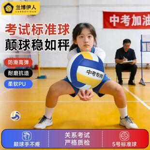 排球初中生中考专用标准款体育考试比赛训练小学生软式气排球2025