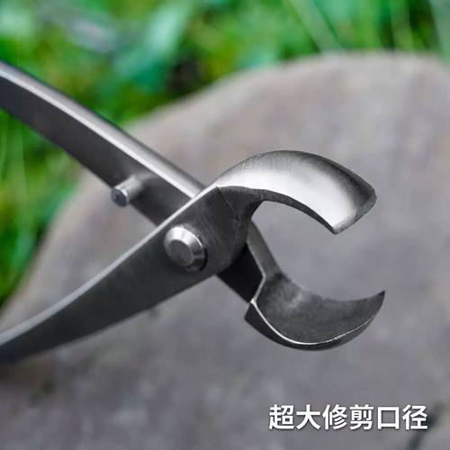 球节剪盆景修剪造型专用工具大全叶芽球形型剪刀不锈钢修枝钳套装