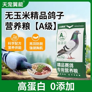 天宠翼能营养鸽粮A级赛鸽专用饲料混合粮食小颗粒无玉米50斤包邮
