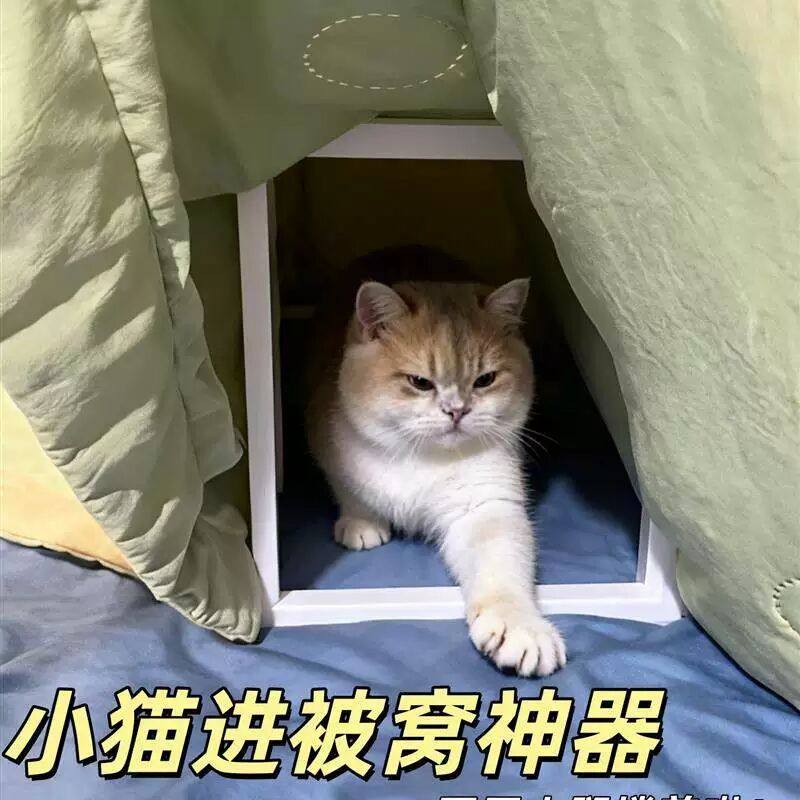 保暖猫窝冬季加厚封闭过冬被窝支架猫玩具隧道宠物用品大全猫用品,宠物/宠物食品及用品,猫窝/屋/帐篷/沙发,淘宝优惠券,粉丝福利购,淘宝优惠卷