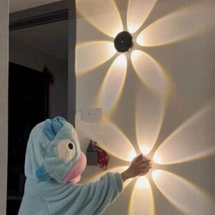 法式壁灯轻奢花朵墙灯入户门玄关装饰摆件卧室床头led圆形感应灯