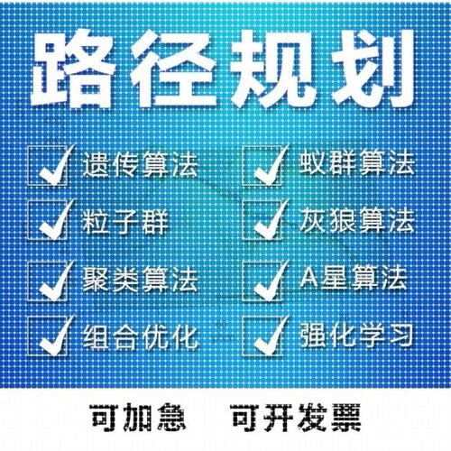 matlab路径规划遗传蚁群蜂群狼群算法代编python强化学习组合优化