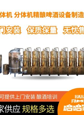 精酿啤酒灌装机械 小型啤酒制作设备 精酿啤酒灌装机器 制造技术