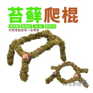 爬宠攀爬棍外包苔藓保湿睫角守宫寄居蟹宠物蛇攀爬支架藤条造景