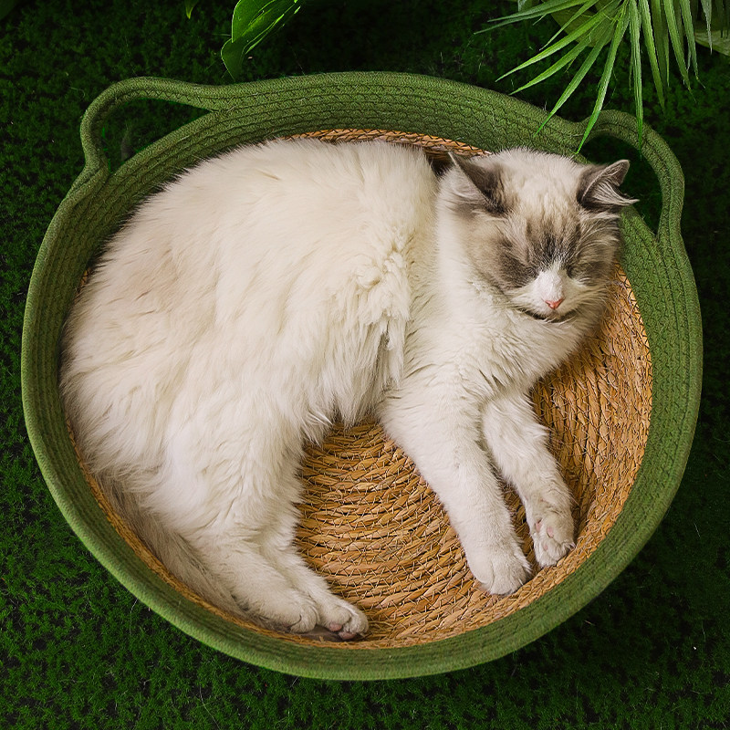 藤编猫窝夏季窝四季通用蒲草夏天凉席窝床猫抓板猫咪垫子宠物用品,宠物/宠物食品及用品,猫窝/屋/帐篷/沙发,淘宝优惠券,粉丝福利购,淘宝优惠卷