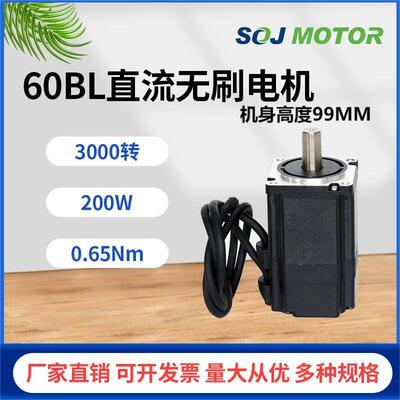 热卖S60BL99直流无刷电机24V48V310V200W3000转高速马达源头工厂