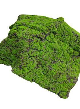 仿真苔藓草皮青苔鼓包植物墙假绿植永生苔藓人造草坪景观橱窗装饰