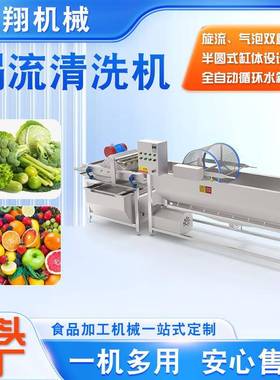 中央厨房预制菜涡流清洗机全自动涡流清洗机大型果蔬洗菜设备