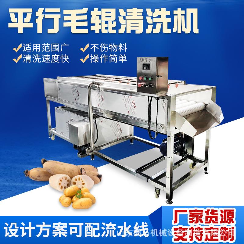 毛辊清洗机蔬菜水果分拣清洗机高压喷淋清洗机土豆芋头清洗机红薯