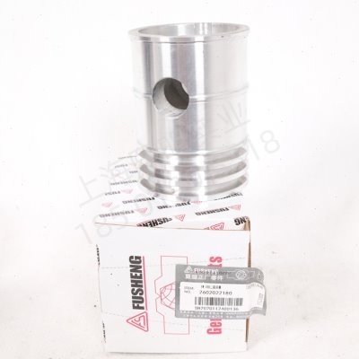 2602022180复盛正厂TW200无油活塞空压机二段活塞