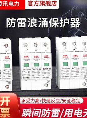 成套柜配电光伏浪涌防雷装置2P63A电涌保护器220V380V避雷器40KA