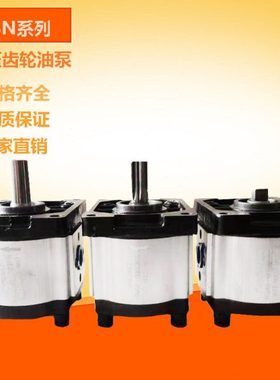 齿轮泵CBN-E310 CBN-E306 CBN-E316 E320 E325 E304 E308 E312