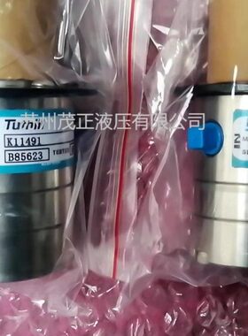 Tuthill泰悉尔齿轮泵铸铁泵润滑泵磁耦合泵#1LEV-C-A-88602-7