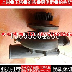 上柴发动机 6135 12V135 柴油机发电机海水泵 上柴水泵 6135水泵