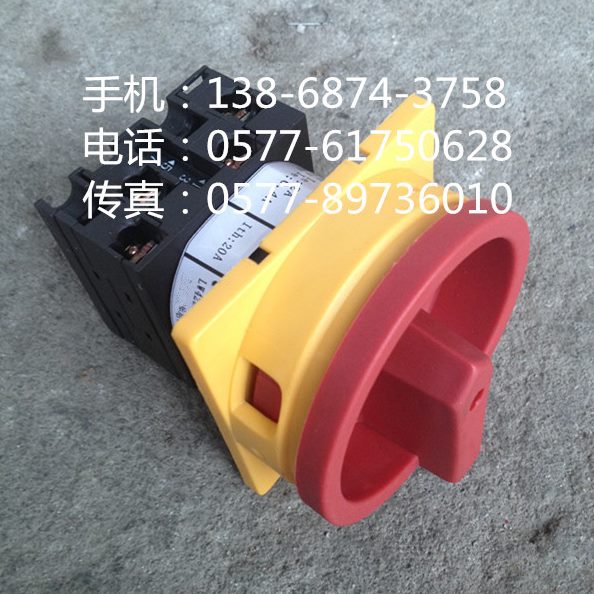 转换开关 凸轮开关 LW42B2-2525/LF101