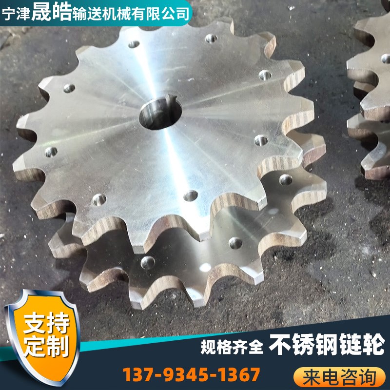 工业链轮齿轮可定制4分6分12xa双排链条齿轮08B12齿不锈钢传动链