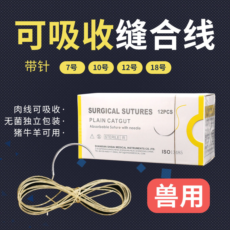 兽用可吸收缝合线外科手术宠物猪牛蛋白线羊肠线埋线可吸收性肉线