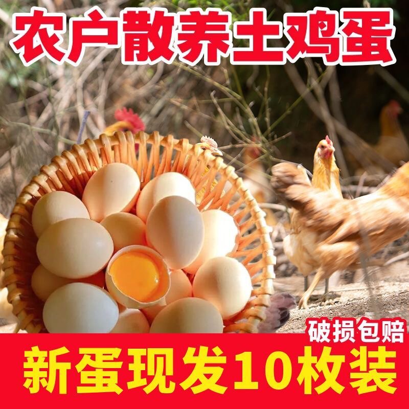 农家散养土鸡蛋10枚装破损包赔
